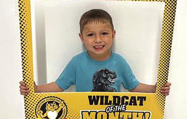 Wildcats of the Month