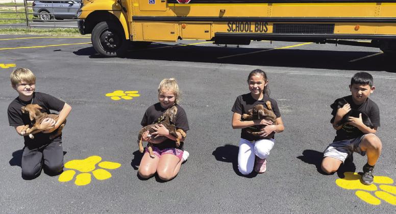 Four Yorktown ISD Student Council members, Rowe Hughes, Taylor Friesenhahn, Larayna Palacios and Noah Luke, get oneon- one time with some of the puppies at Pet Adoptions of Cuero.. CONTRIBUTED PHOTO