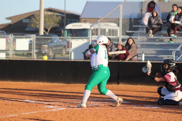A flock of Lady Gobblers earn all-district honors