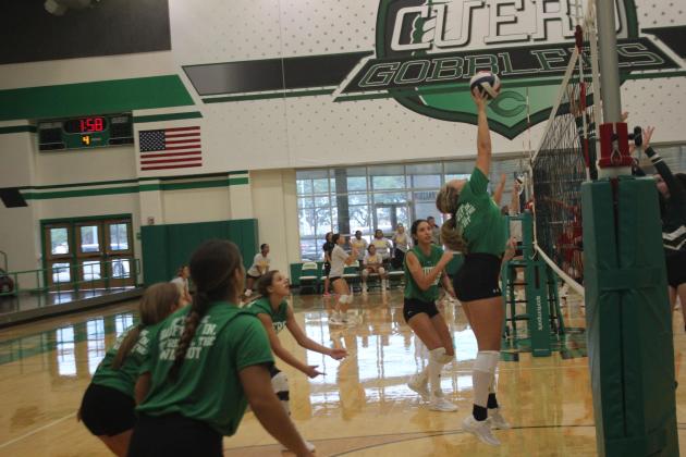 Lady Gobblers return to court