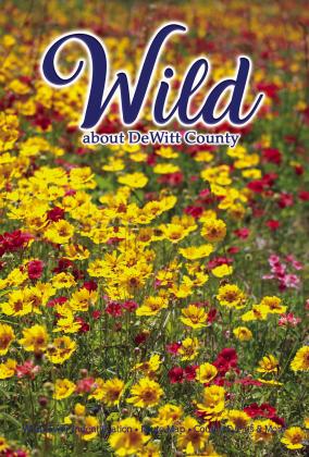 Pick up your guide to DeWitt County Wildflowers at the Chamber of Commerce, 210 E. Main Street