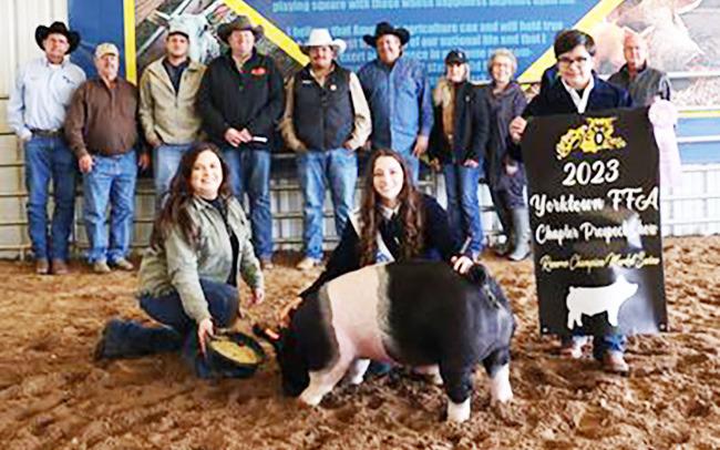 Reserve Champion Pig Reserve Champion Pig, Jaclyn Gwosdz, sold for $5,999.