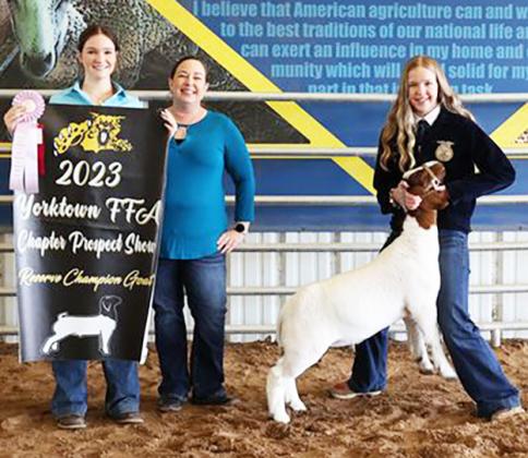 Reserve Champion Goat Reserve Champion Goat, Sydnie Krueger, sold for $4,000.
