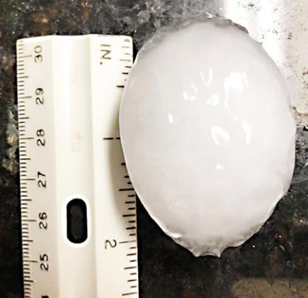 Nikki Aflerbach Weber measures hail coming down at over two inches.
